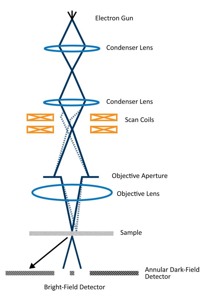 Scanning Transmission Electron Microscopy - Nanoscience Instruments