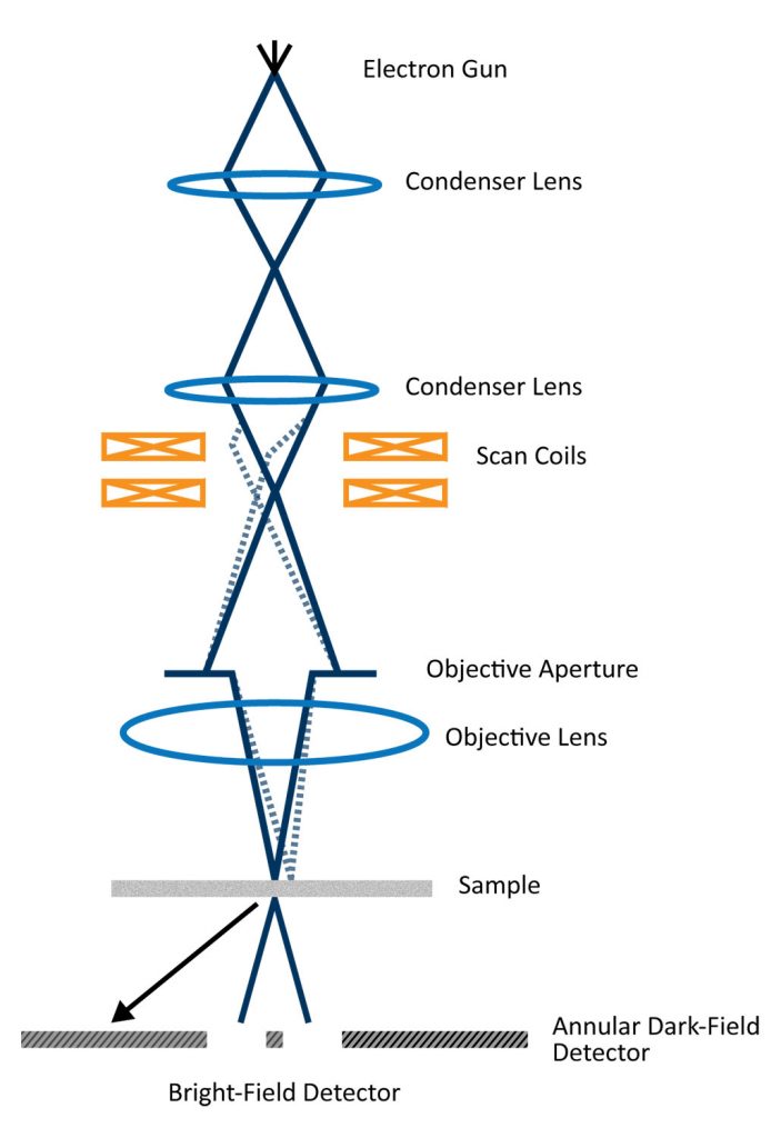 Scanning Transmission Electron Microscopy | Nanoscience Instruments