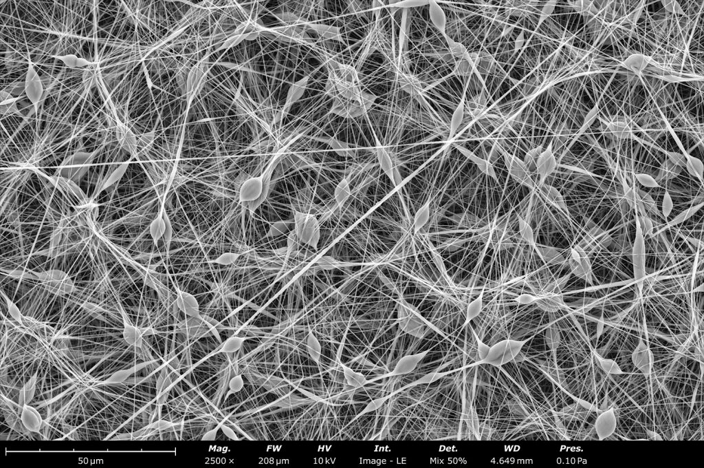 Electron micrograph of biodegradable beaded fibers made out of polycaprolactone (PCL) using the Fluidnatek LE-100 with a 5 mm outside diameter mandrel rotating at 200 rpm. This image was acquired by mixing the signal of the backscatter and secondary electron detectors in a 1:1 ratio. In the past, this type of fiber morphology was thought to be a disadvantage in the electrospinning field. These days the beaded fiber structure is used for drug encapsulation, coat medical devices, increase efficiency of air filtration, among others.