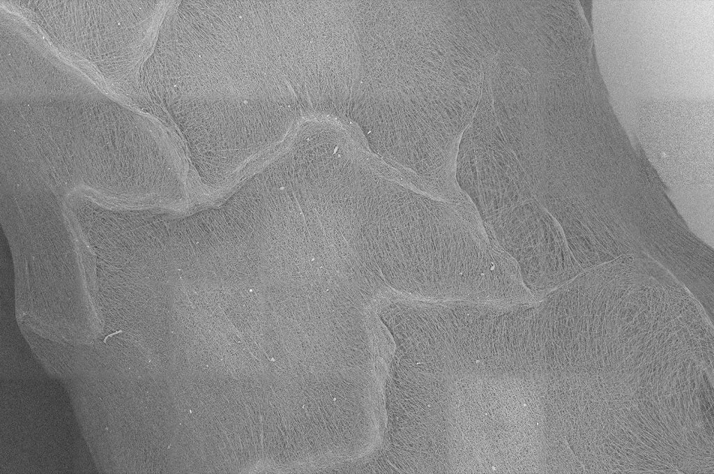 Coronary artery stent with an outside diameter of 5 mm coated with electrospun polycaprolactone (PCL). This SEM image is a composite of 5 rows and 8 columns stitched automatically to have a representative look at the microstructure of the coated surface. Stents are coated with fibers to make them more biocompatible. The beauty of the electrospinning technique is that it allows stents to be coated with different polymeric materials and drugs can be incorporated to improve patient healing