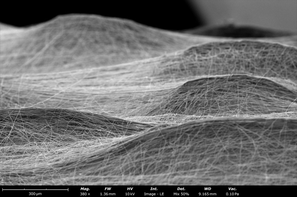 Backscattered electron micrograph of polycaprolactone (PCL) fibers collected on top of a 1 cm diameter rod at 200 rpm in a Fluidnatek LE-100 equipment. At 200 rpm, and for large deposition times, a rough microstructural surface is observed that is due to residual charge, causing fibers to localize in certain areas of the sample, affecting the final porosity of the electrospun material. This microstructural effect is removed when using higher linear speeds or when combined with a higher bias at the same rotational speed.